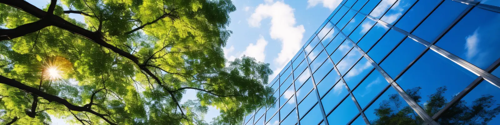 A building with trees in front of it viewed from the ground