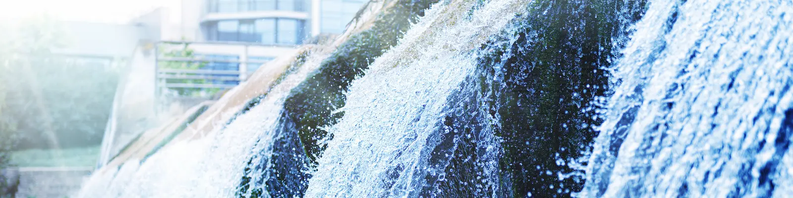 Water flowing at a plant